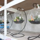 베스트피쉬 수족관 이미지