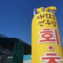 울산 북구 당사동 대한호선주집 - 회, 초장집