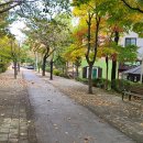 반석천(유성-77) 이미지