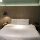 브라운도트 진하해수욕장점 이미지