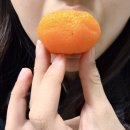 예일와곶감영농조합법인 | [리뷰] 설명절 선물 추천 살살녹는 청도반건시 곶감 선물세트