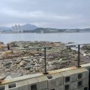 바다숲 | 부산 기장 일광 바다뷰 카페 추천 카페 숲 내돈내산 후기
