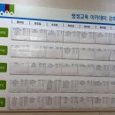 보아트