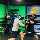 사우스포 복싱클럽 이미지