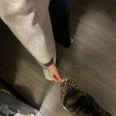 해맞이의원 | 1월을 나눠보아요🍀