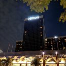 스테이 아모 | 미국 LA 호텔 ⎮ 힐튼 로스앤젤레스 에어포트 Hilton Los Angeles Airport