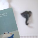 도서출판 예원 - 서구 | 서평) 무너지지 않으려 애쓰는 너에게