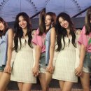 제니플라워 네이버블로그