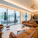 분당-142 이미지