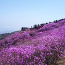 가곡쉼터 이미지