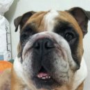아랑이네