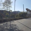 동림1리 이미지