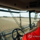 대두농장 이미지