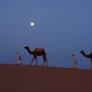 낙타와 사막에 대한 시 이미지