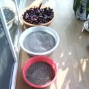 삼동초등학교 이미지