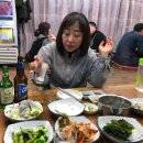 19세꼬시