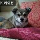 마루애드케이션