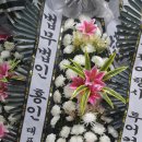 주식회사 자연머금 네이버블로그