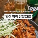 닭발 CEO 이미지