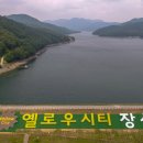 미락장어 전남매일