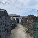 달나비 민박 이미지