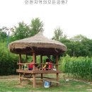 오리이야기 이미지