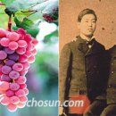일심환경개발 이미지