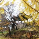 백운동 정원 이미지