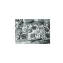 서해경로당 이미지