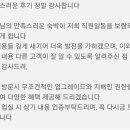 야놀자 후기 보다가 이미지