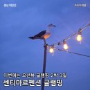 태안냉동냉장 | 태안 학암포 센티마르펜션 오션뷰 글램핑 2박3일 내돈내산 후기