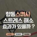 네이버블로그