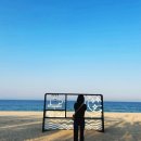 [국내] 강원도 경포 스카이베이 호텔 경포 리뷰 &amp; 화니 조개구이 추천
