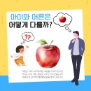 지혜의 사과 이미지