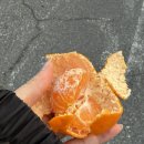 뀰게임즈 네이버블로그