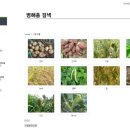 인바이오 이미지