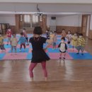암바플렉스