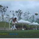 정라초등학교 이미지