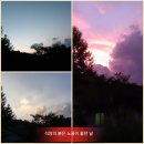 촌부의 단상-드디어 수박과 노각 첫 수확! 이미지