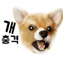 닥터호오 동물병원 이미지