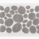 아트시티 이미지