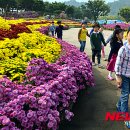 국화어린이공원 이미지