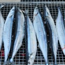 백두대간약초마을 이미지