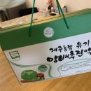 하영영농 | 유기농 양배추즙 : 제주농장 유기농 양배추진액 : 양배추즙 추천