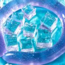 라이즈원 이미지