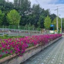 검배근린공원 이미지