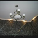 임비곰비 이미지