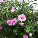 (주)비앤비코리아 이미지