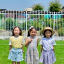 푸른틈 풀펜션 이미지