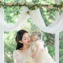 라리마정원 돌잔치 후기 예약 견적 안내 (풍선세팅 더팔레트)